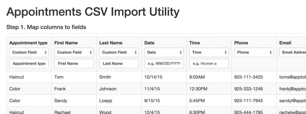Apptoto import displaying uploaded data in table form