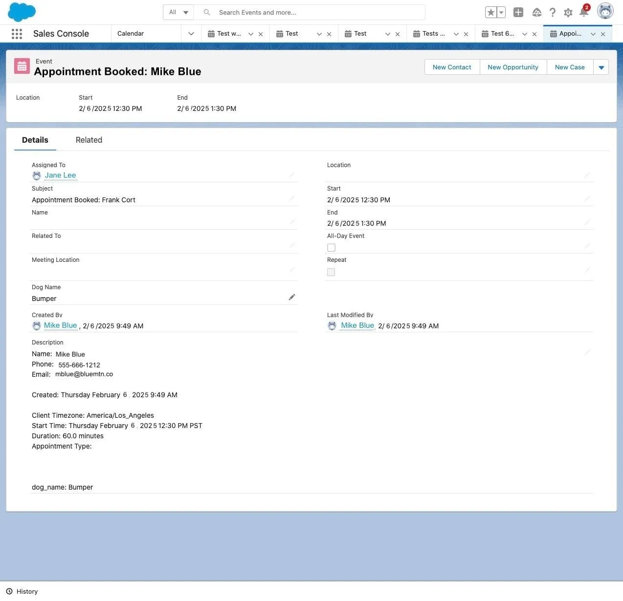 Salesforce record with custom field from Apptoto appointment booking added